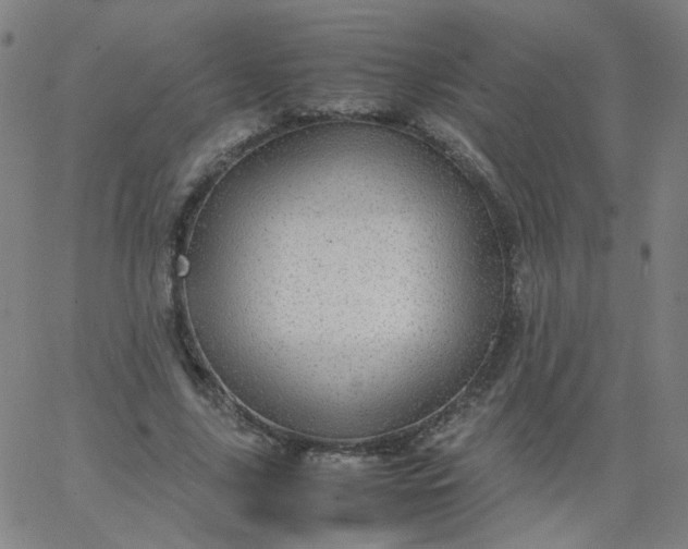 X0000067380635200604131907