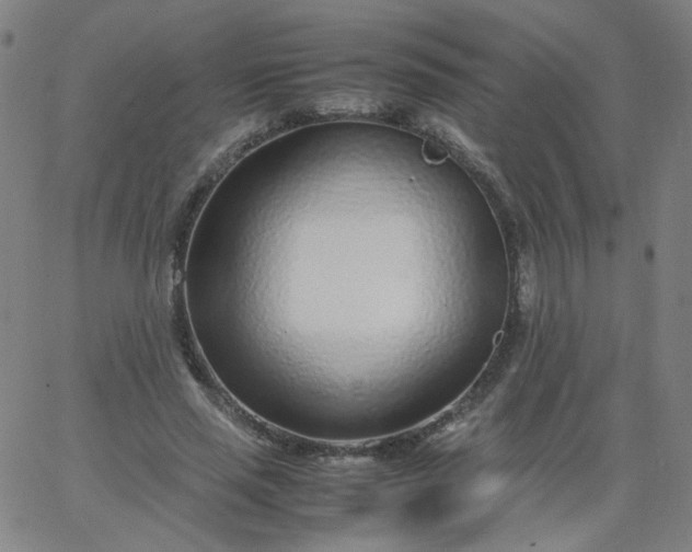 X0000067380637200604131907