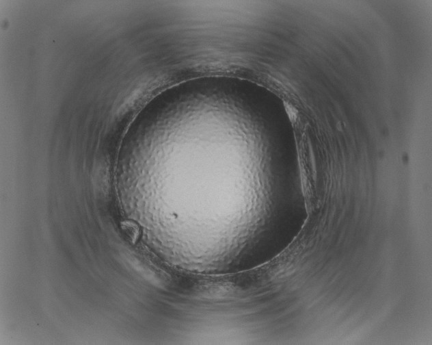 X0000067380642200604131907