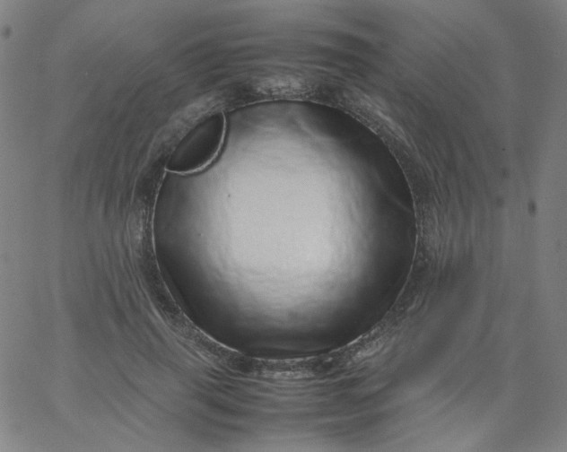 X0000067380645200604131907