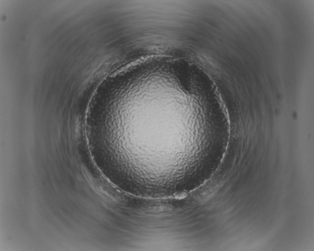 X0000067380646200604131907