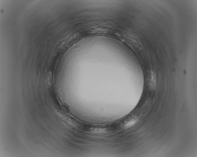 X0000067380649200604131907