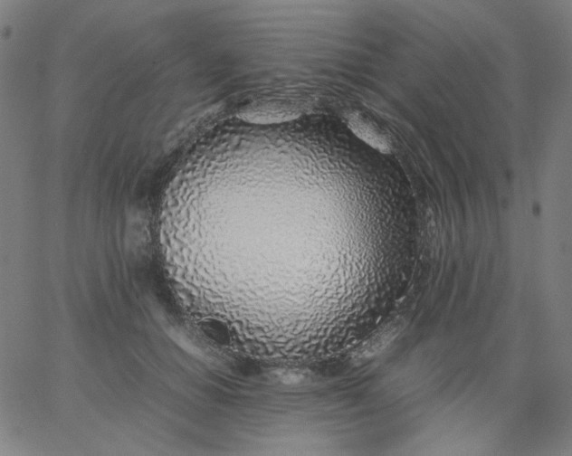 X0000067380654200604131908