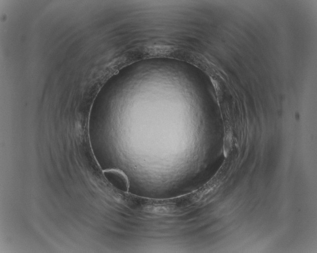 X0000067380655200604131908