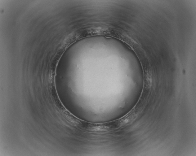 X0000067380657200604131908