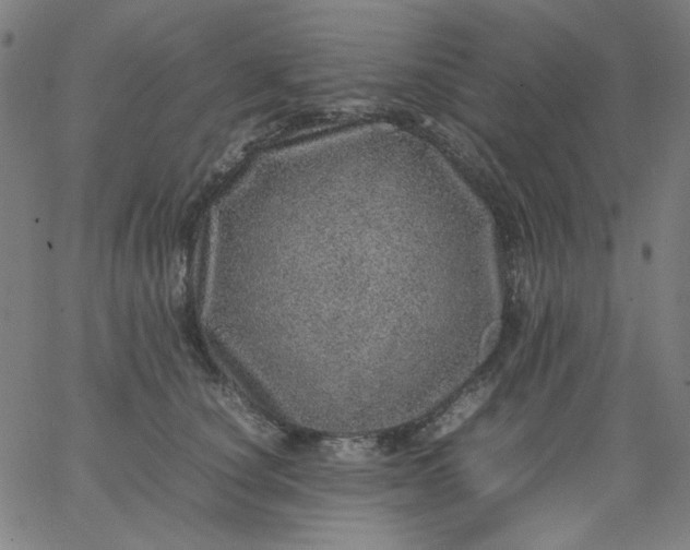 X0000067380660200604131908