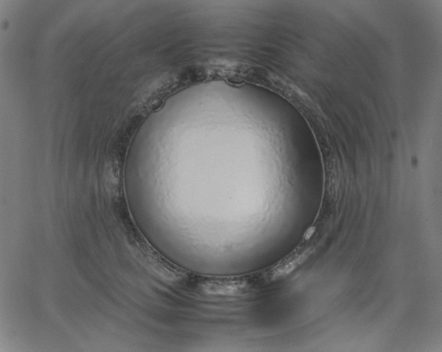 X0000067380661200604131908