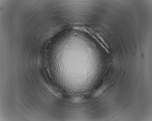 X0000067380662200604131908