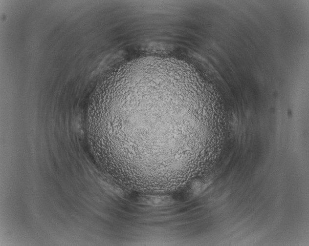 X0000067380663200604131908