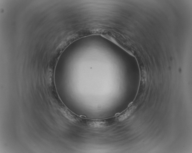 X0000067380664200604131908