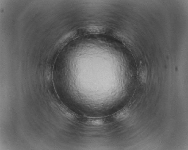 X0000067380665200604131908