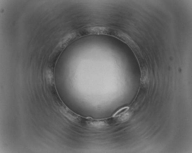 X0000067380669200604131908
