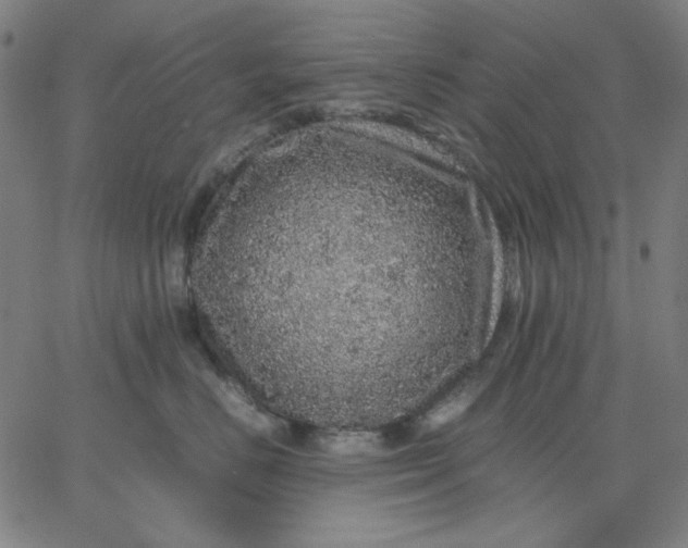 X0000067380670200604131908