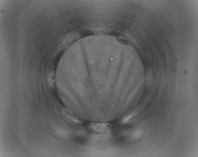 X0000067380671200604131908