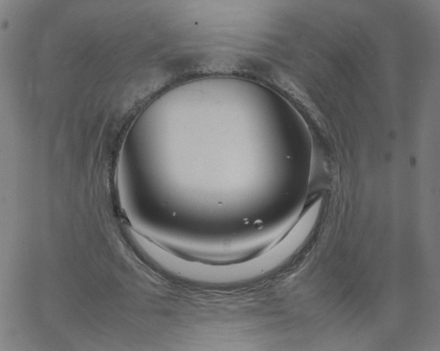 X0000067380681200604131907