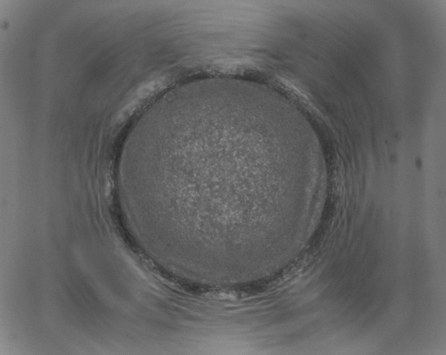 X0000067380687200604131907