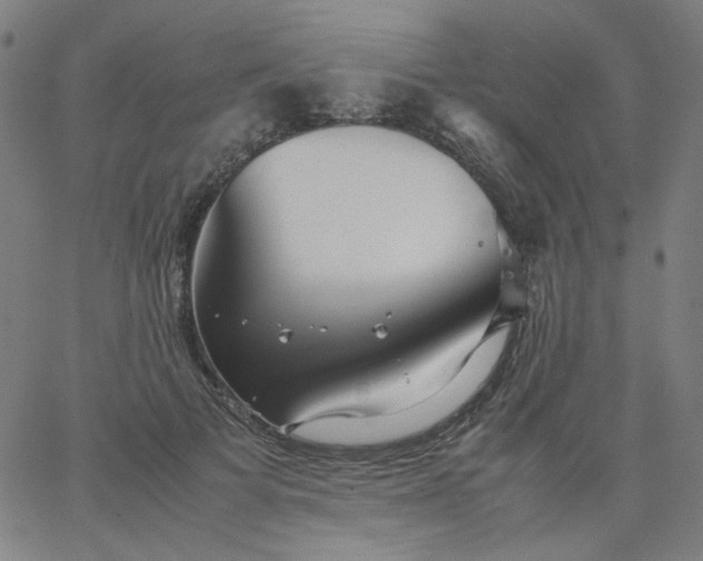 X0000067380697200604131907