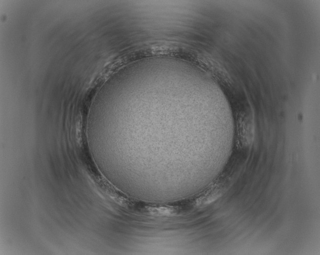 X0000067380698200604131907