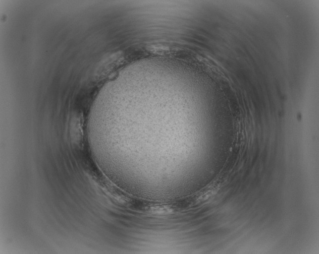 X0000067380702200604131907