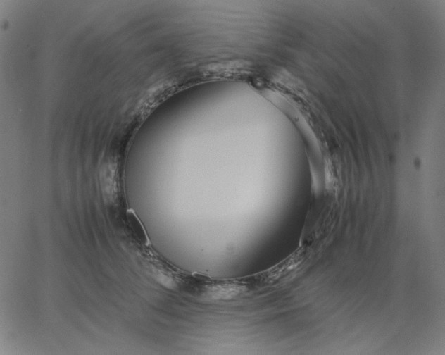 X0000067380708200604131906