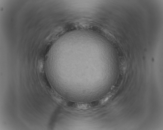 X0000067380709200604131906