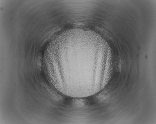 X0000067380710200604131906