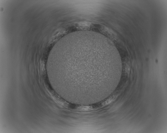 X0000067380711200604131906