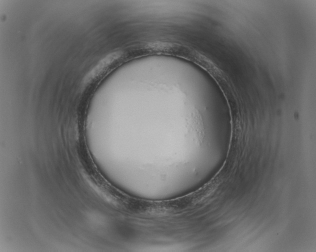 X0000067380734200604131906