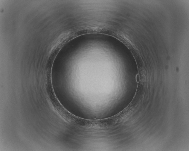 X0000067380738200604131906