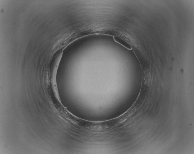 X0000067380740200604131906