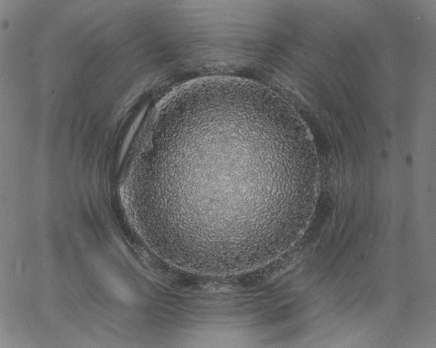 X0000067380742200604131906