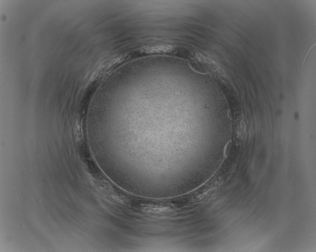 X0000067380743200604131906