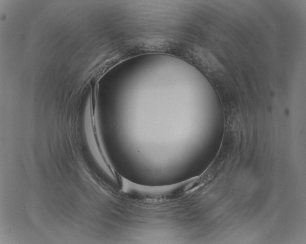 X0000067380744200604131906