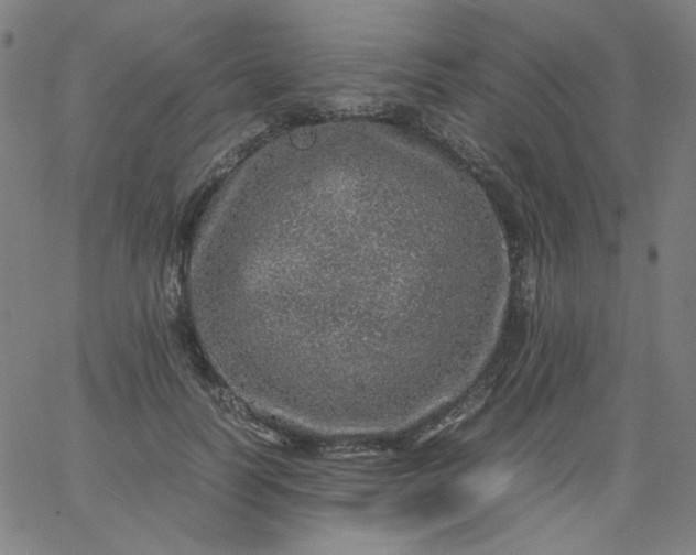 X0000067380746200604131906