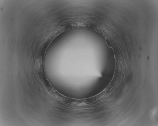 X0000067380747200604131906