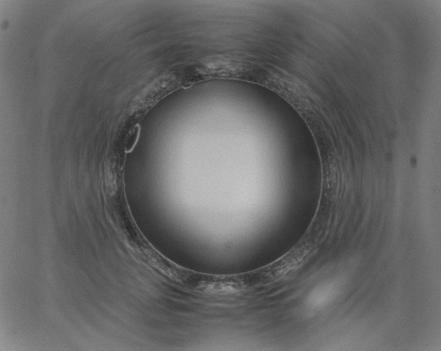 X0000067380751200604131906