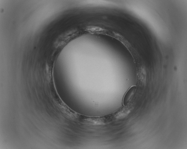X0000067380763200604131906