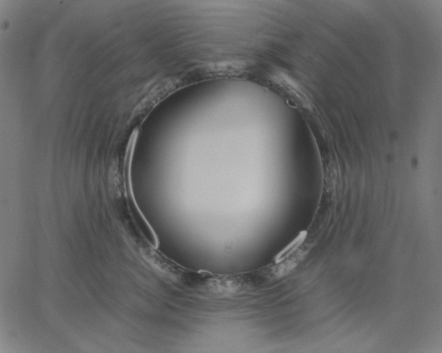 X0000067380764200604131906