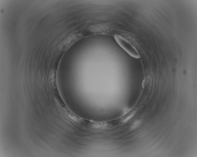 X0000067380767200604131906