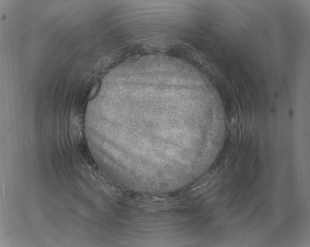 X0000067380772200604131905