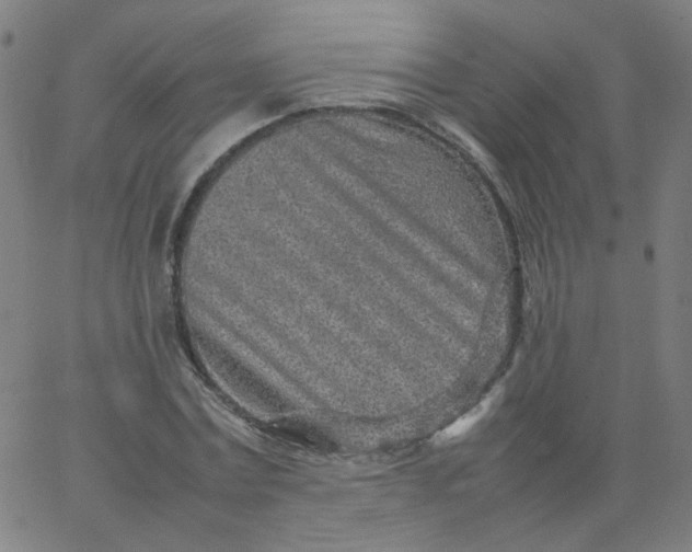 X0000067380779200604131905
