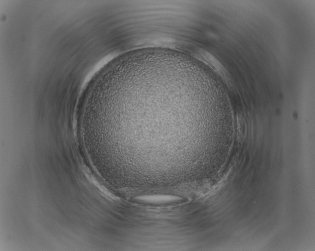 X0000067380780200604131905