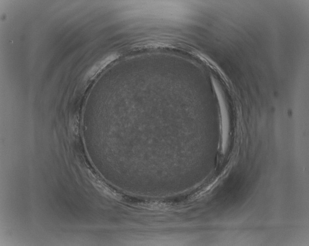 X0000067380785200604131905