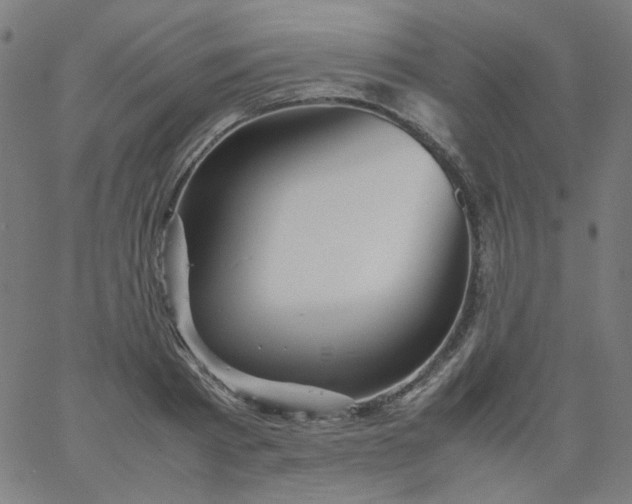 X0000067380793200604131905