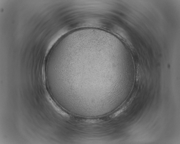 X0000067380796200604131905