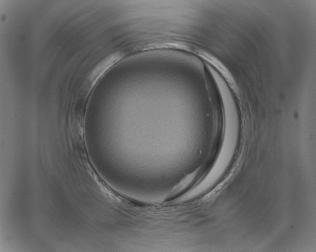 X0000067380809200604131905