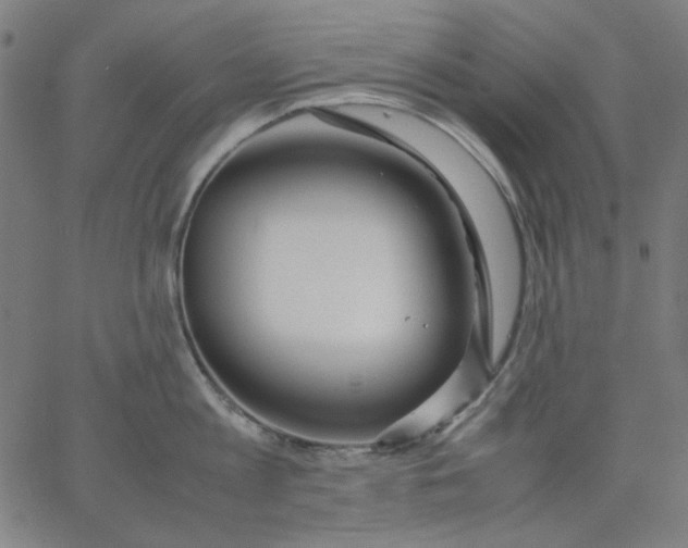X0000067380813200604131905
