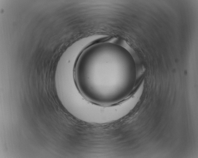 X0000067380818200604131904