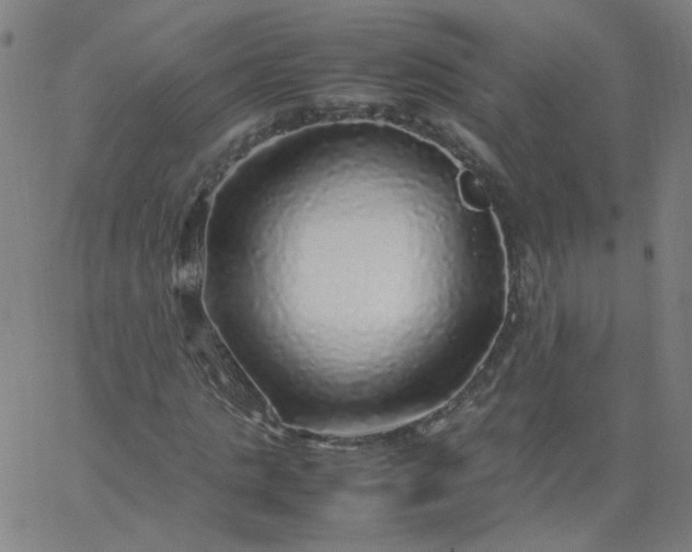X0000067380821200604131904