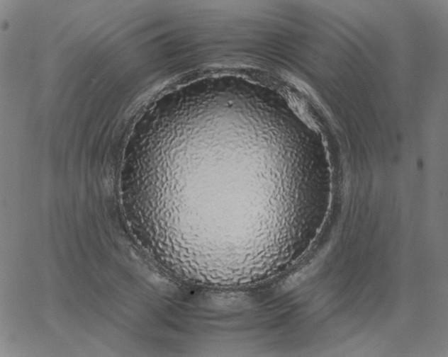 X0000067380833200604131904